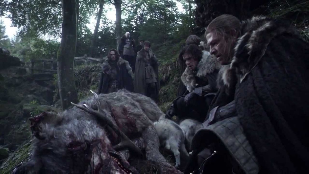 劇集首季第1集，冰原狼母親與鹿搏鬥而死，留下六隻小狼。（《權力遊戲》截圖）