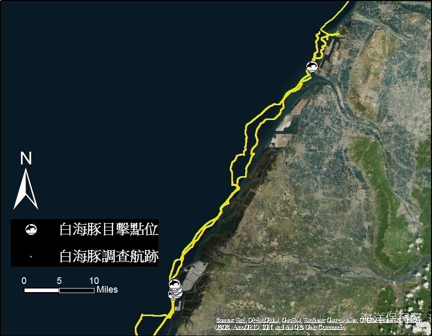 白海豚海上族群目擊調查，第一季調查成果目擊18隻次的白海豚。圖片來源：海保署