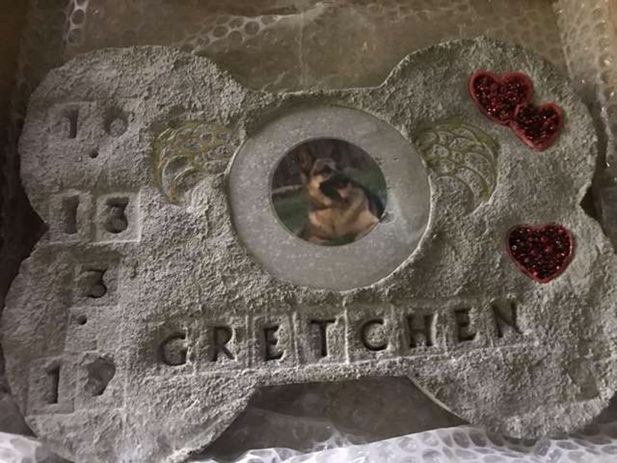 狗狗離世了，再也吃不到郵差送來的零食。（Chris Cimino）