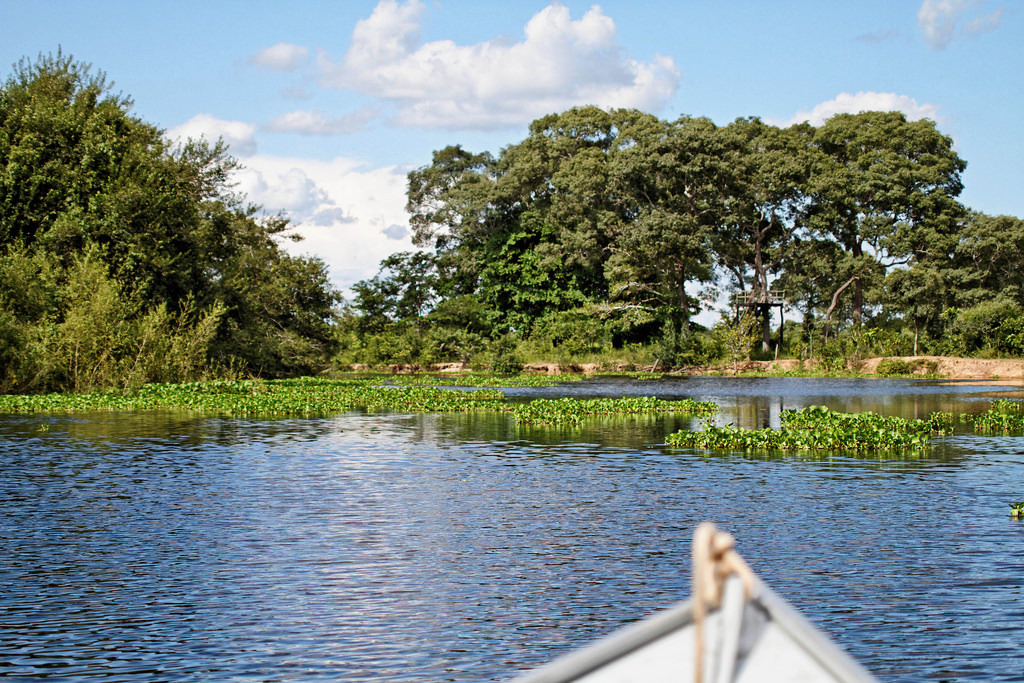 乘船遊潘特納爾濕地。圖片來源：Ronald Woan（CC BY-NC 2.0）。