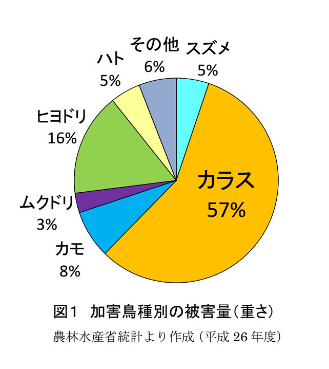 圖片出自智庫報告