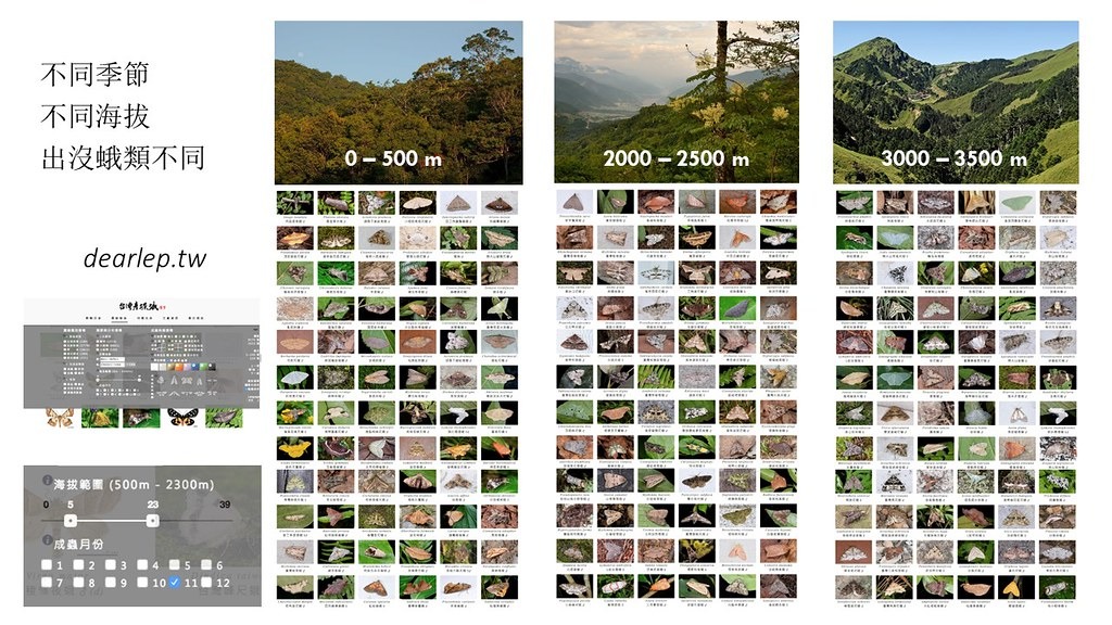中研院結合生物多樣性研究中心、資訊所以及特生中心長期蛾類調查資料，解答環境梯度與物種色彩多樣性的關聯。圖片來源：中研院簡報
