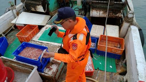 漁獲種類以赤尾青蝦為主。海巡署艦隊分署/提供