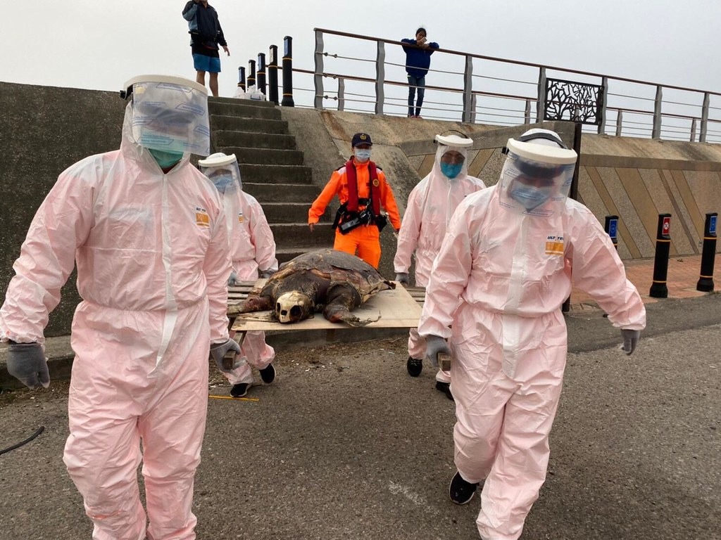 照片提供:海巡署