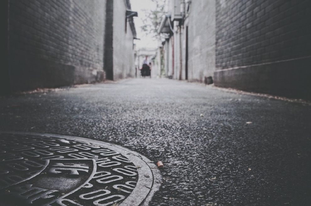 為了執行這項研究,科學家在 2014-2015年間,利用陷阱捕捉了約 400隻溝鼠,並對其中 29隻進行了基因定序,準備與另外 9隻來自中國的親戚比較。 Photo: 7 SeTh