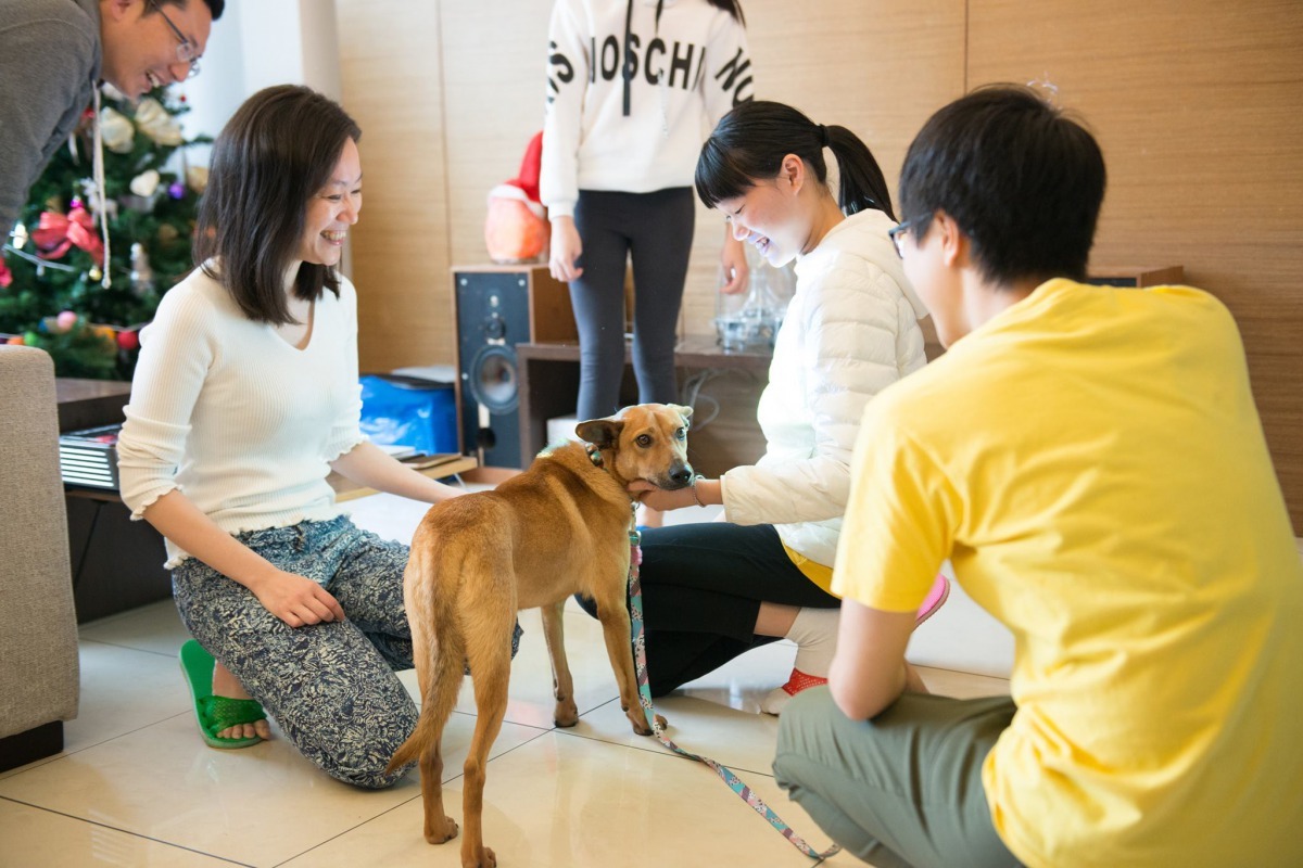 為讓每個家庭能找到最match的狗狗，Lucy推廣創新的精緻化領養制度，幫助領養人「找到對的牠」。北市青發處/提供