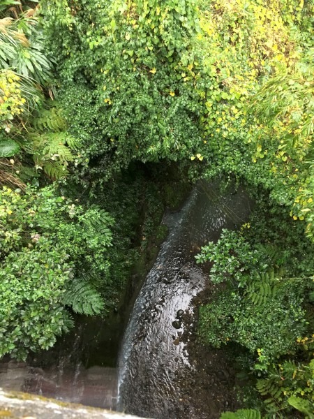 強鹼廢水直接排入三峽河上游支流三峽溪情形。新北市環保局/提供