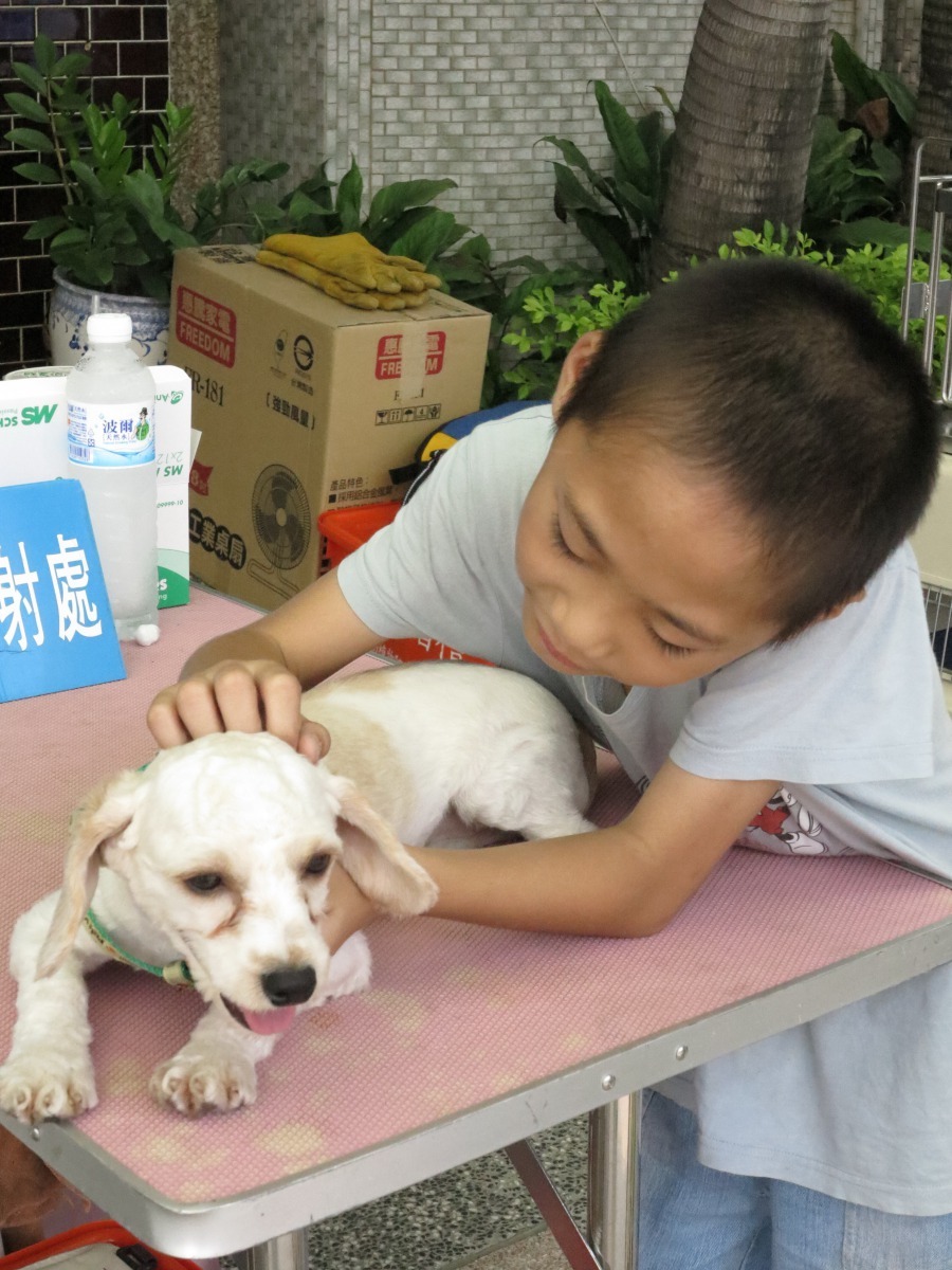 教導小孩子從小善待動物，是培養愛心最具體的方法。高維奇/攝