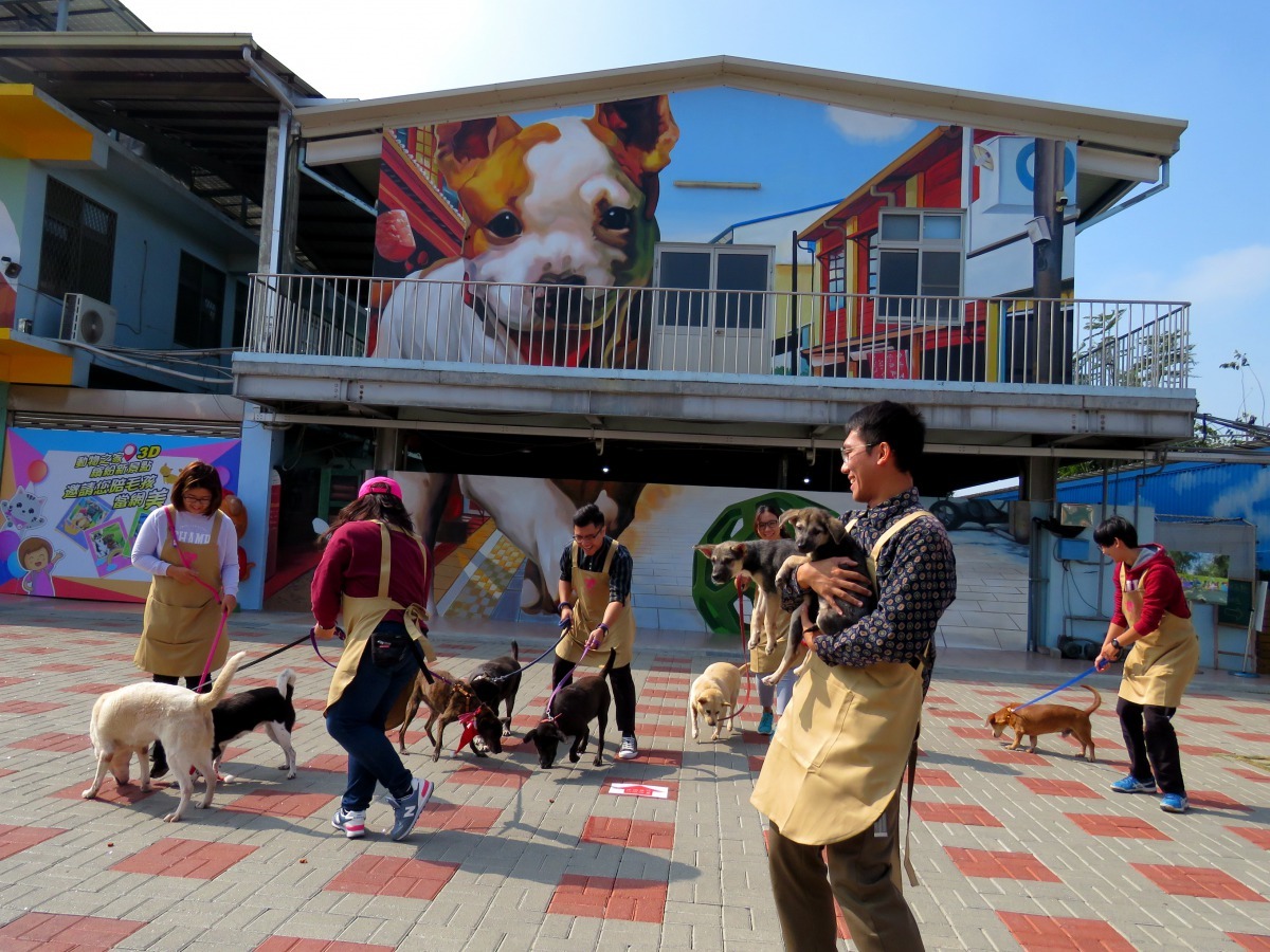 讓浪浪暫時擺脫長期牢籠不見天日，出來透透氣曬個太陽，是份難得的小確幸。高維奇／攝