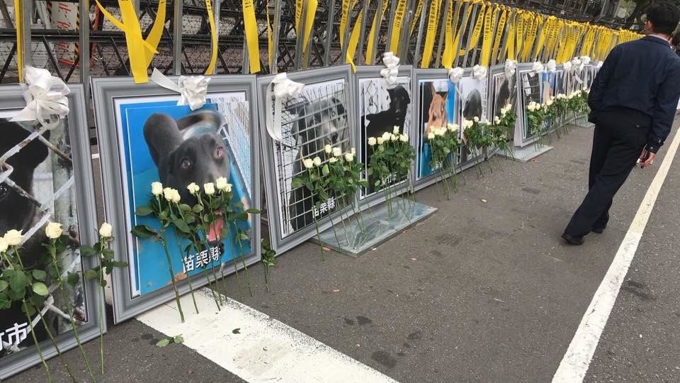 去（2018）年4月，憾事發生後、尚未破案前，動保志工在內政部前舉辦「讓愛返回祈福會」，現場放置了20隻被認養後消失的狗狗照片，並讓民眾獻花，活動訴求為重建認養機制、設立動保警察。農委會隨後已對大量認養設定新規範，但動保警察至今仍未爭取成功。   取自傾聽，浪浪。