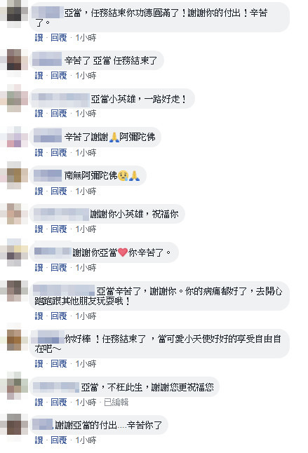 網友們不捨留言表示:「亞當,任務結束你功德圓滿了!謝謝你的付出!」、「亞當小英雄,一路好走」。翻攝自臉書/Buzz Lightyears