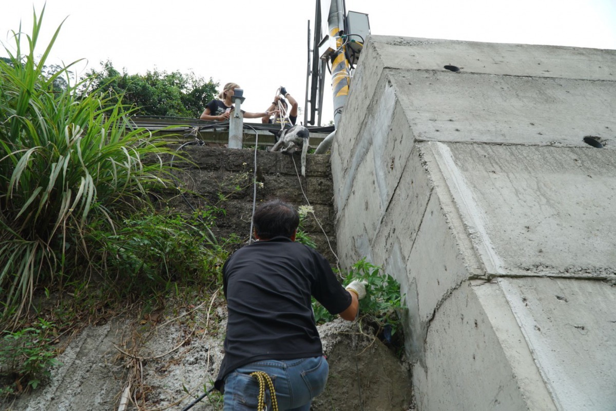 救援隊利用繩索垂降到橋墩下，將受困的狗狗與隊員余重諾一齊垂吊上岸。新北市動保處/提供