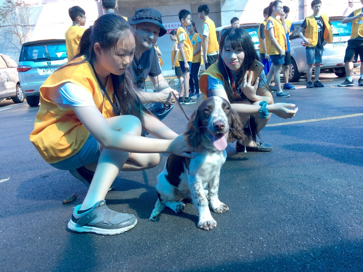 新北市警犬隊新成員在「CSI偵探體驗營」亮相，吸引許多小朋友的目光。新北市警犬隊/提供（請勿擅自轉載或翻攝）