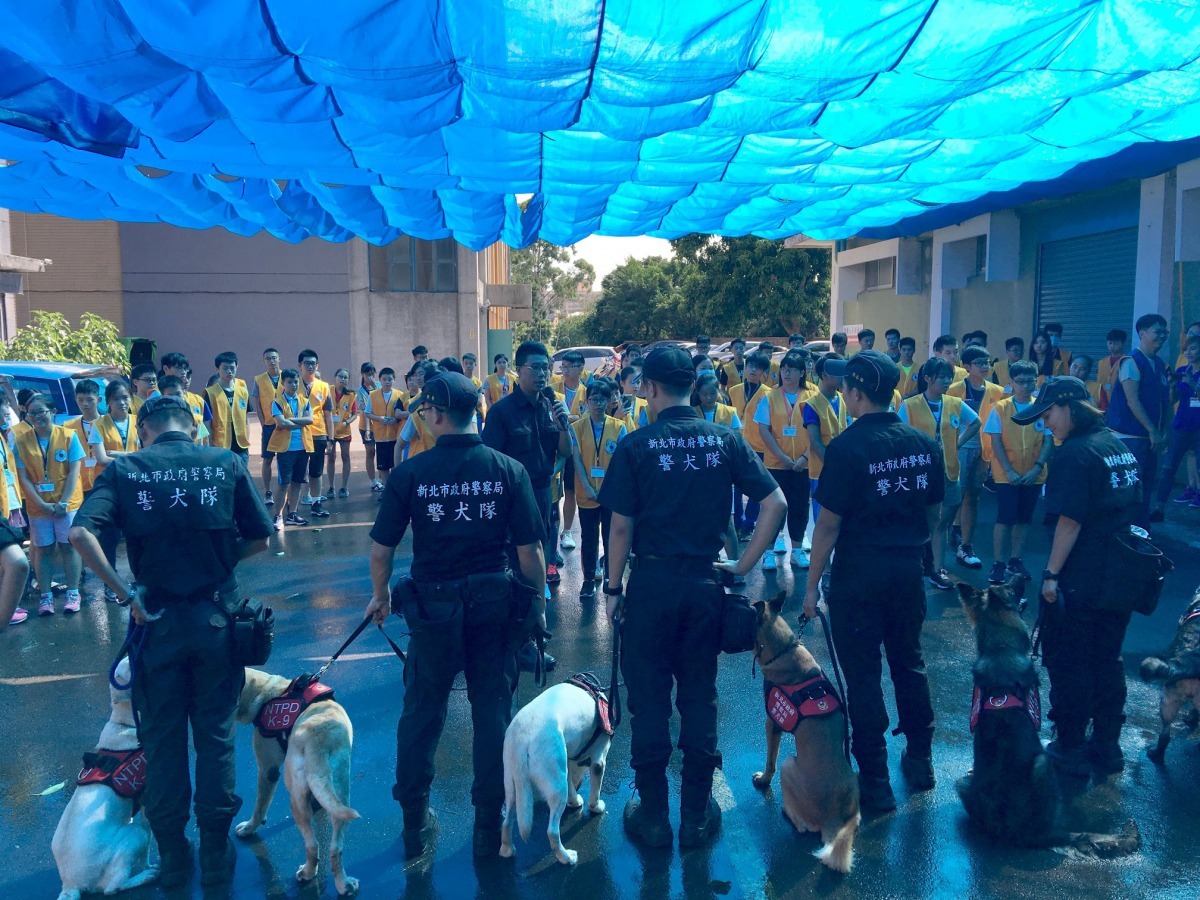 新北市警犬隊經常出席各式宣導活動及參與案件偵辦，勤務內容相當繁重。新北市警犬隊/提供（請勿擅自轉載或翻攝）