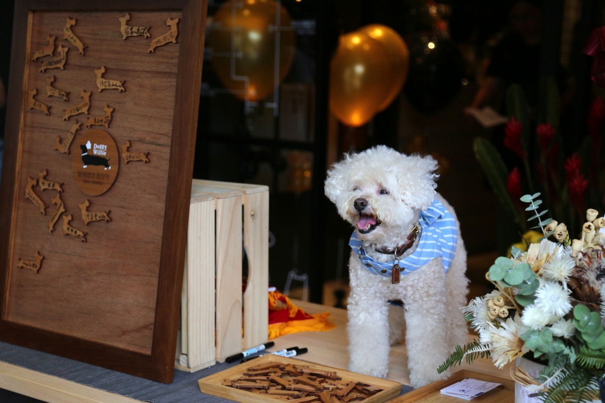 「輕寵食寵物飲食概念所」打造一個人與寵物共遊的新選擇。雨林/翻攝