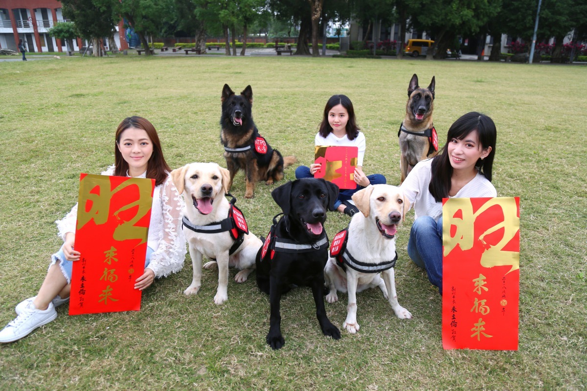 新北市「旺來福來」春聯第一版首刷20萬張，1月15日起，在全市29個區公所及指定地點同步發送。新北市政府/提供