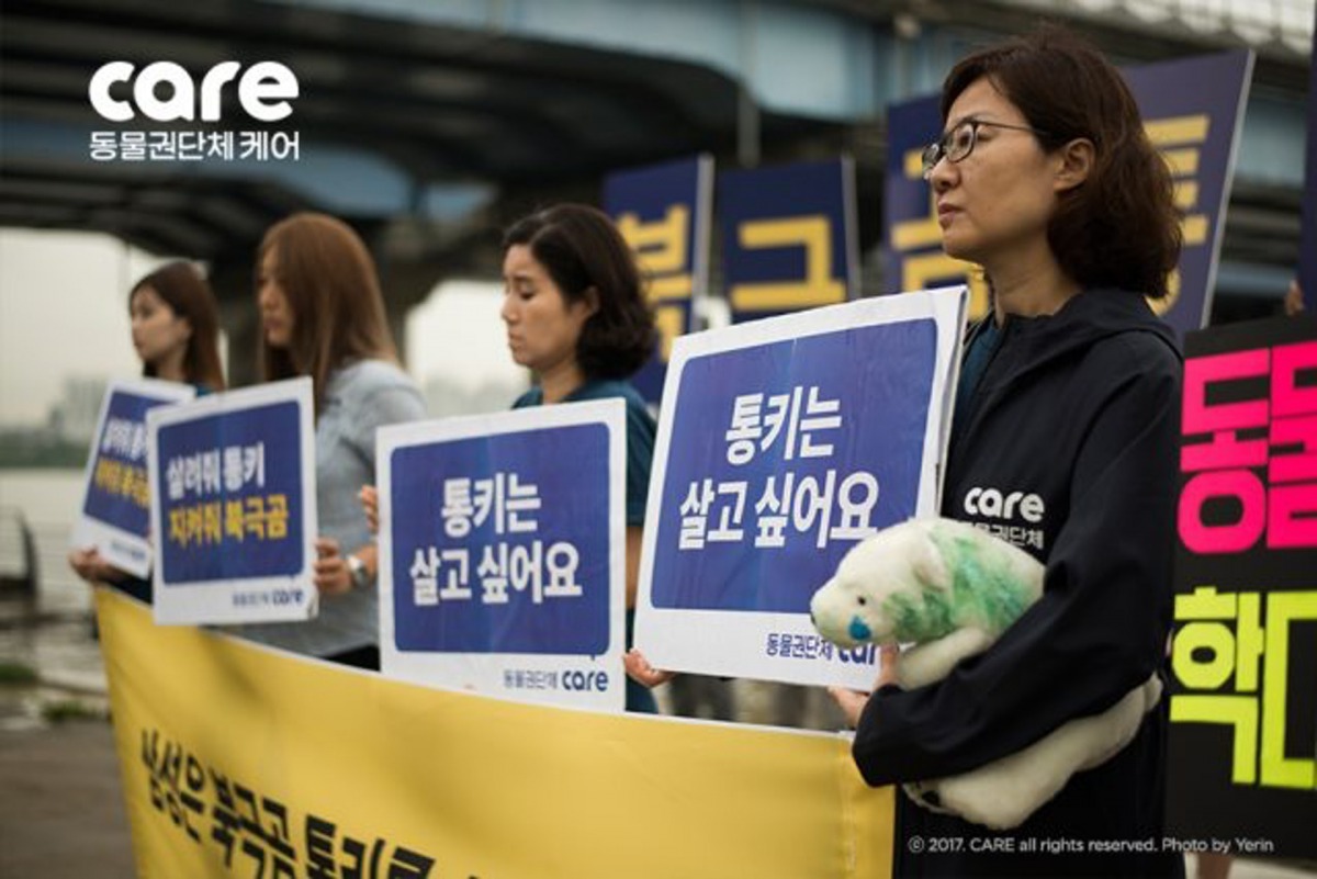 韓國動物保護組織Care去年7月示威反對愛寶樂園展示Tongki。(Care官網圖片)