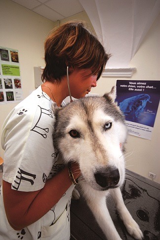 市面上已有預防心絲蟲與內、外寄生蟲的預防性口服用藥，每月定期投藥一次，保護愛犬免於感染心絲蟲與內、外寄生蟲的風險。張峻豪/翻攝