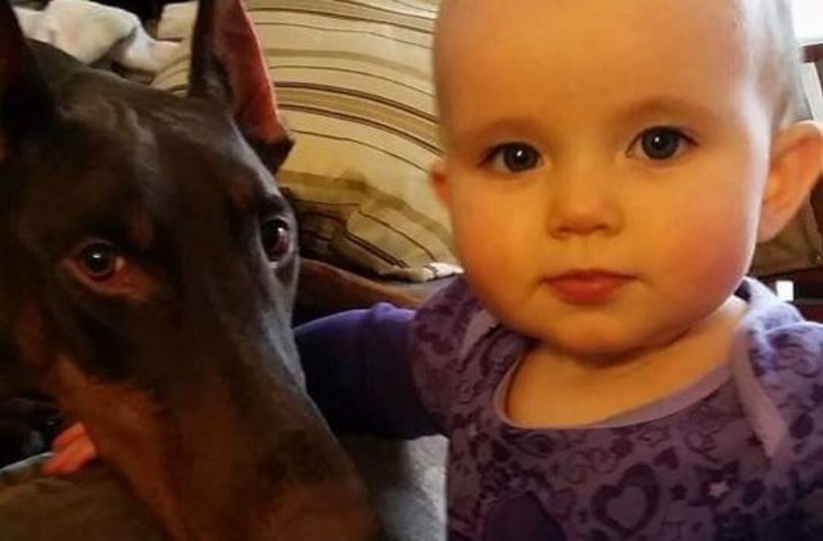 家中的孩童都十分喜愛及珍惜Copper。（GoFundMe@JenniferJayne）