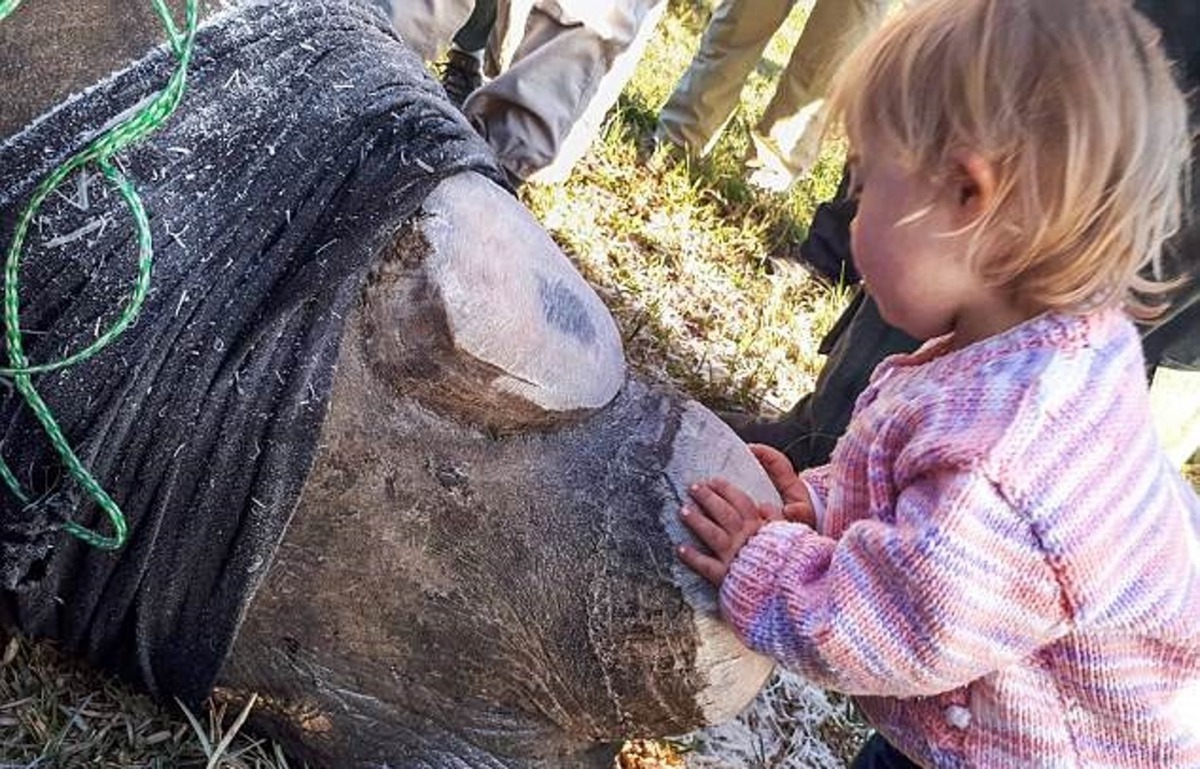 Ava嘗試安撫白犀牛Chuck。(Ayesha Cantor)