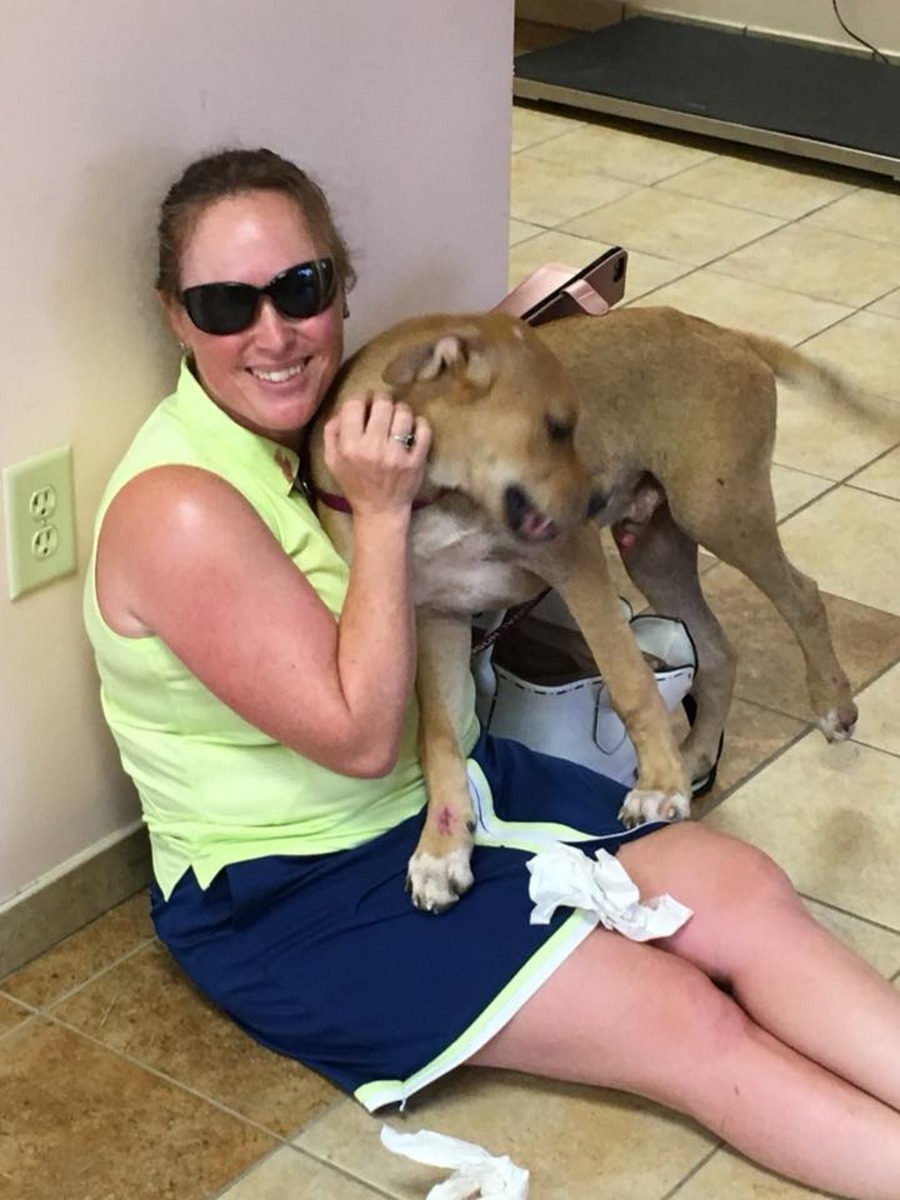 Columbo和新主人Andrea Shaw。（Facebook@Adventures of Columbo）