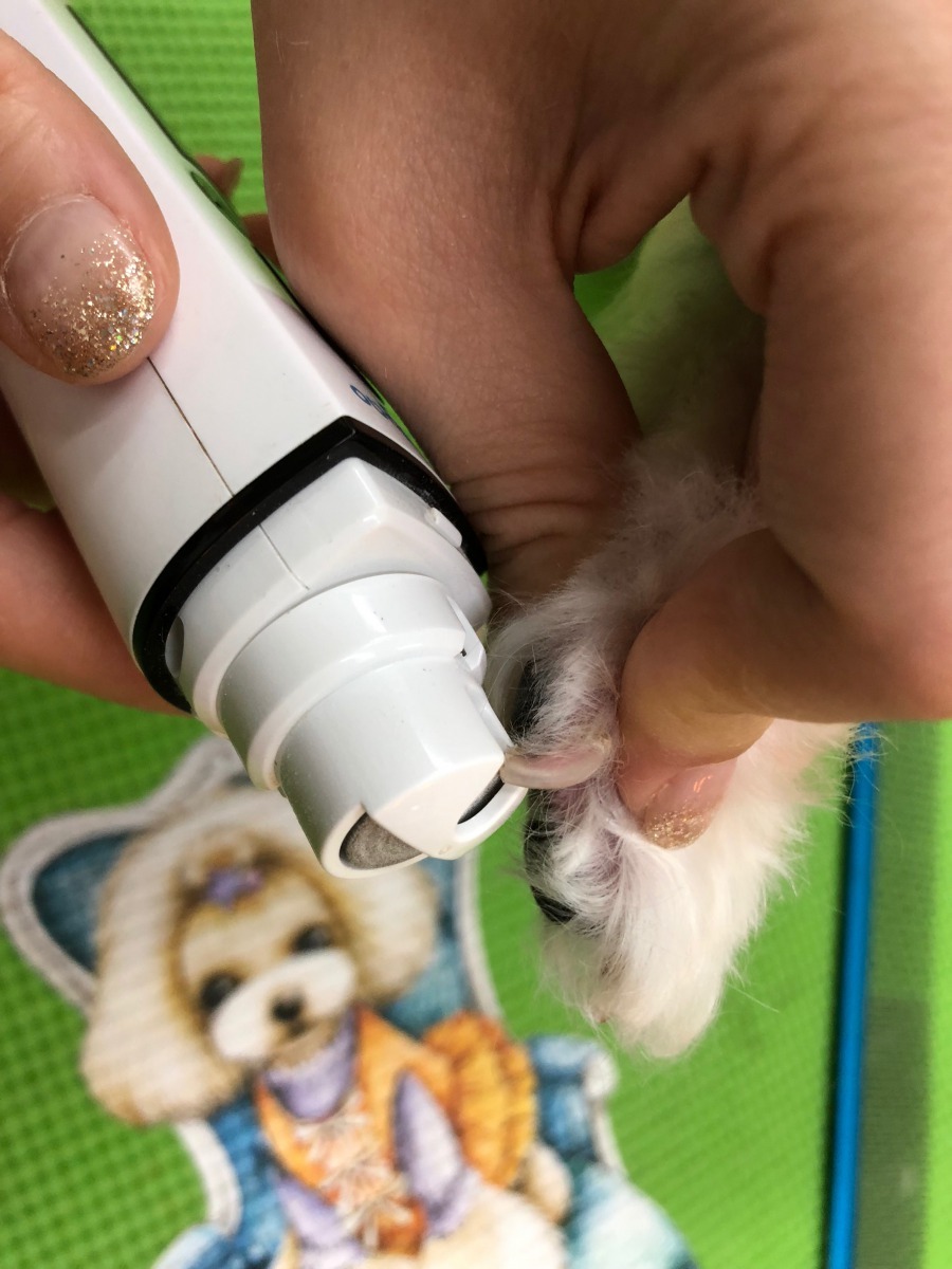 修剪後可用磨甲器磨去指甲尖銳部份，防止抓傷。梁憶萍/提供