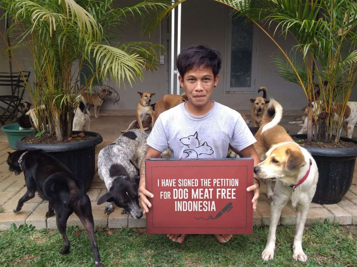 有許多名人及市民簽署，呼籲禁止買賣狗、貓肉 （Dog Meat Free Indonesia）