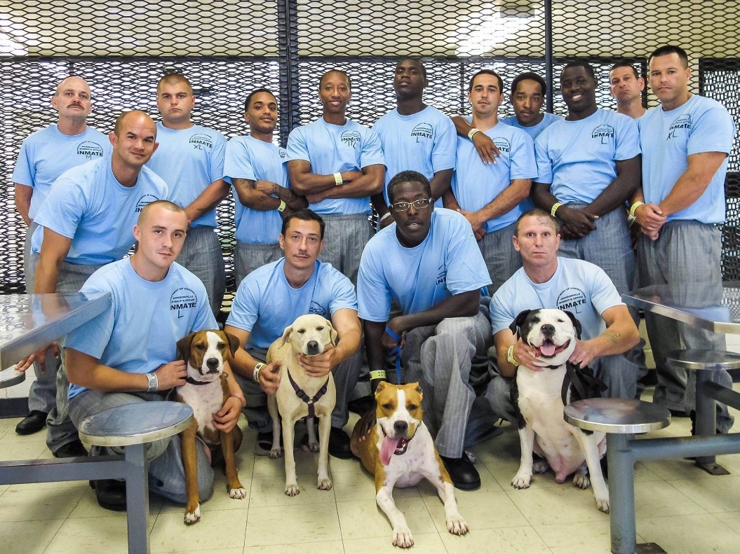 在美國遍地開花的監獄犬計畫,在參與的人和狗完成訓練時,常會舉行畢業典禮,留下溫馨畫面。