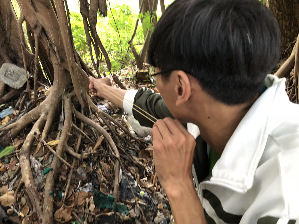 以橡皮筋打昏沙蜥後捕捉，效果雖好，人力成果相對高。攝影：廖靜蕙