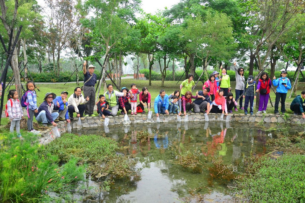五溝村民到六堆客家文化園區放養花肚鯽。圖片來源:五溝水守護工作站