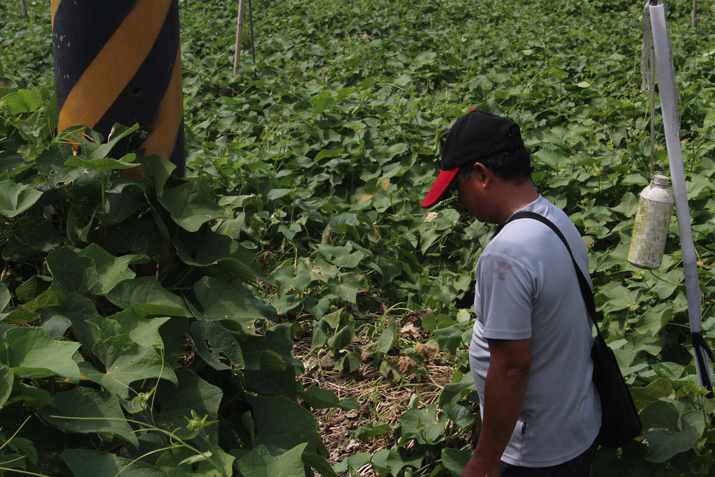 周浩祥（卡那卡那富）為螢火蟲，常晚上九點過後回家。攝影：廖靜蕙