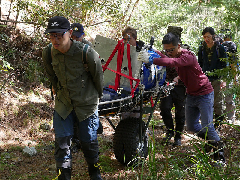 10月30日,以擔架及獨輪車搬運黑熊。黃美秀提供。