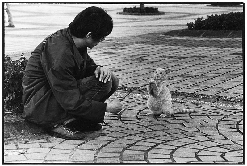 願我們能夠體諒彼此,聽懂彼此。(圖片/動平會提供、吳毅平攝)