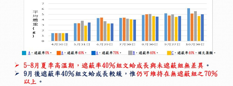 水試所研究不同遮蔽率、不同季節下的文蛤養殖情況。資料來源：水試所