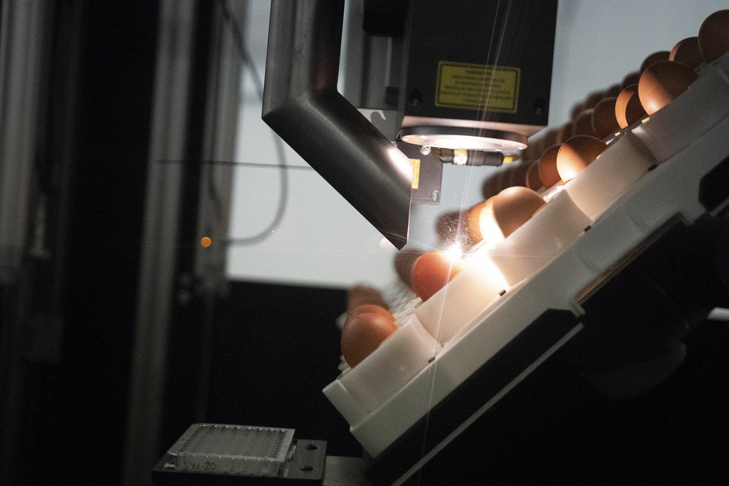 用雷射光技術,完全不接觸雞蛋就能完成性別測試。圖片來源:SELEGGT。