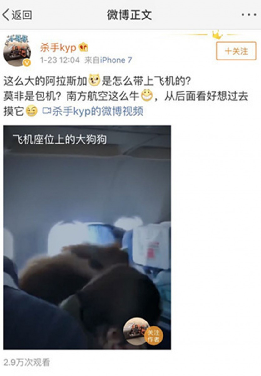 不少網民都表示，很想與雪橇近距離接觸。（網上截圖）