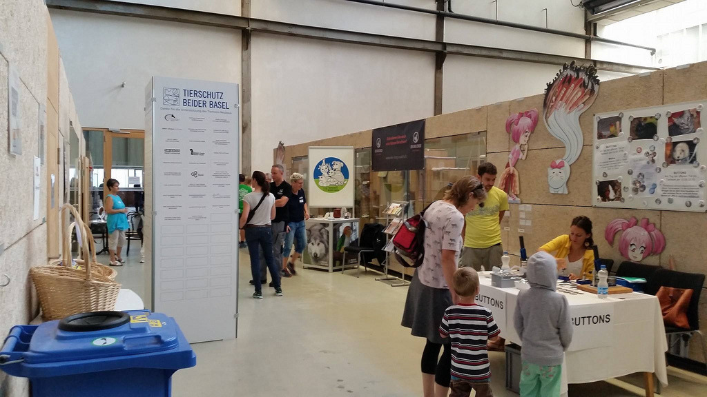 瑞士巴塞爾收容所為流浪動物提供良好環境，也讓民眾方便認養。圖片來源：巴塞爾收容所官網