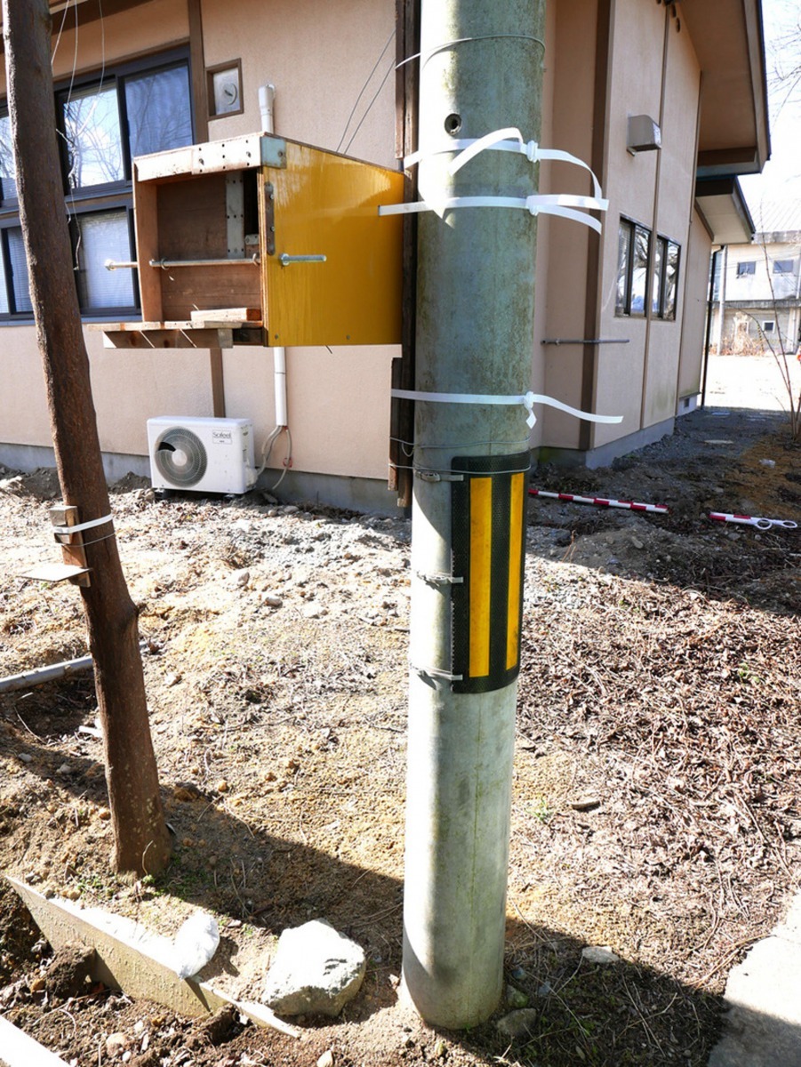 太田康介在福島各地放置了多個餵飼箱，他定期會前往當地加添飼料。（太田康介）