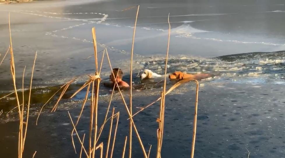 男子用身軀開路。（Timofey Yuriev fb）