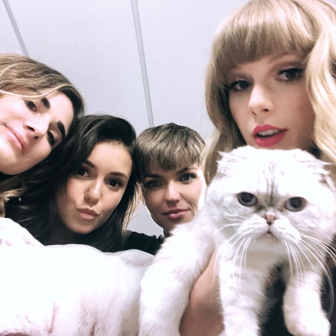 貓咪出席廣告拍攝，當然大家不會錯過與貓咪合照機會。（instagram@taylorswift）