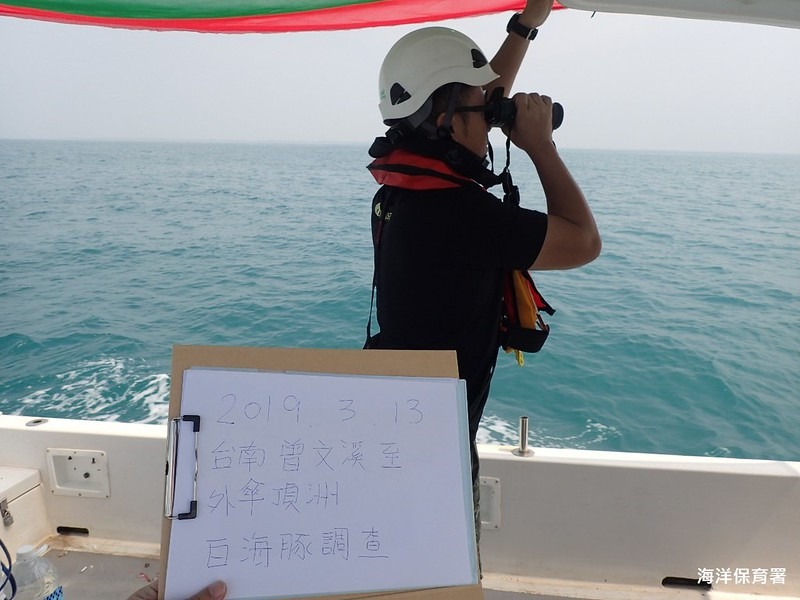 白海豚族群監測計畫進行中。海保署提供。