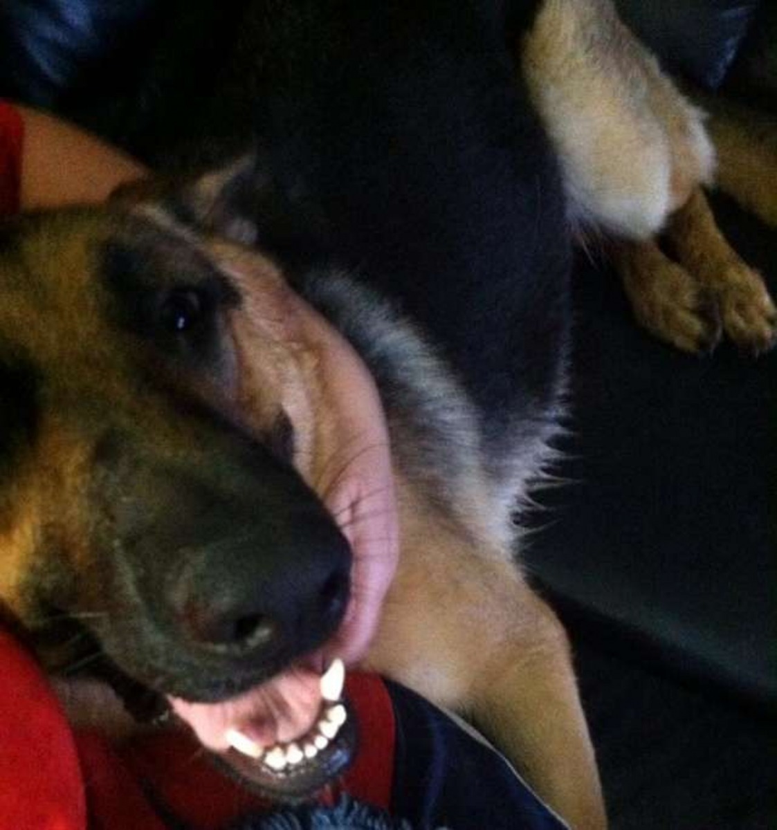 很感激郵差送來的小零食，令Gretchen這幾年的改變很大。（Chris Cimino）