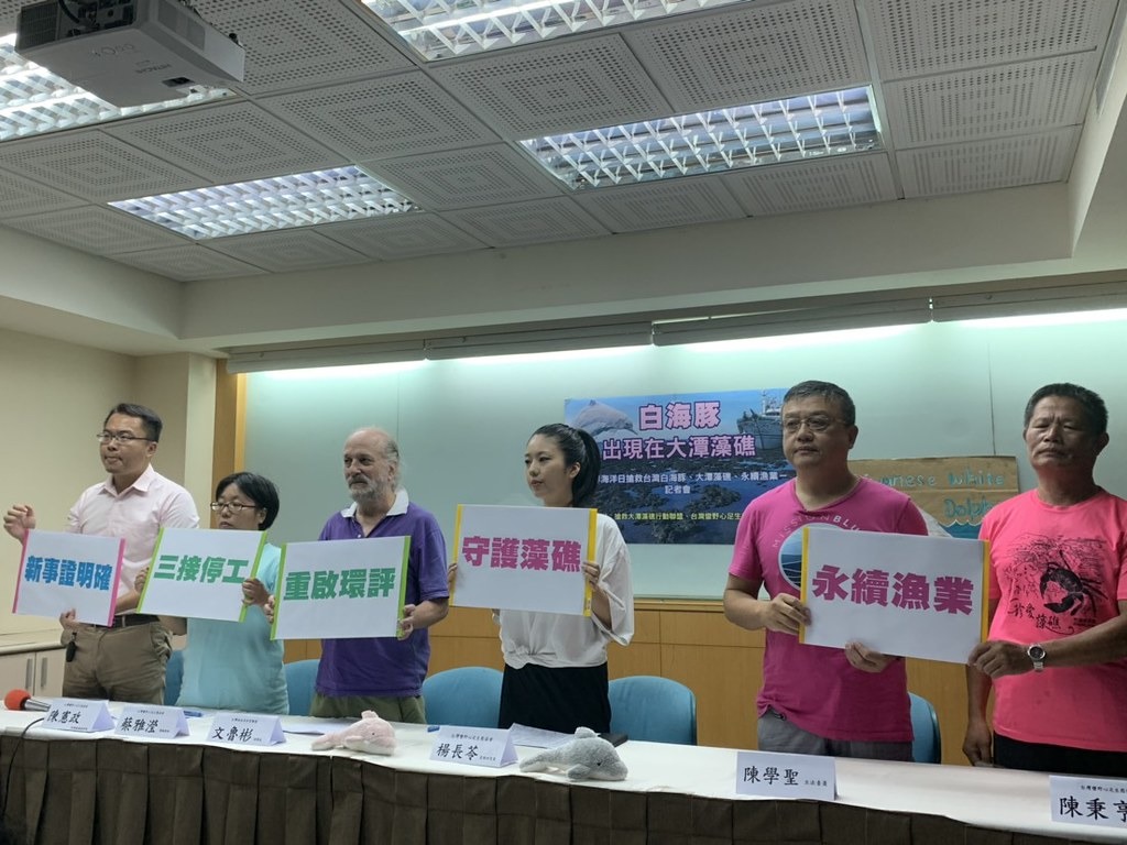 隨著白海豚在大潭藻礁出現，環團呼籲三接停工，重啟環評。拍攝：林琪娟