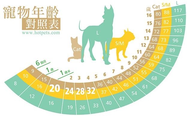 哈寵誌/提供