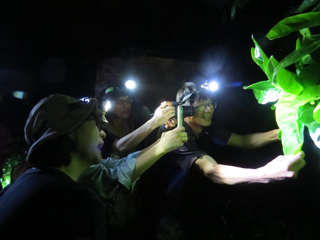 花蓮光復的水龍吟志工隊，四月份例行蛙調現場，志工們正在辨識蛙種。攝影：張國政