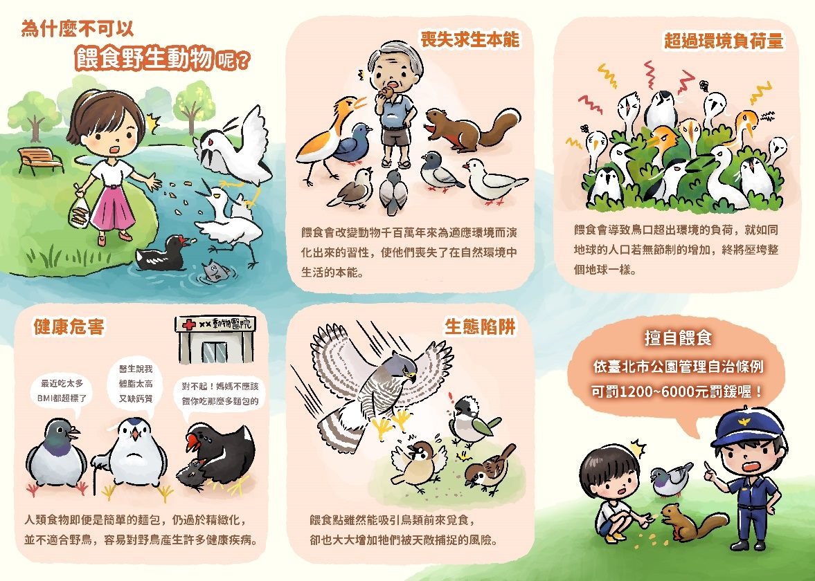 愛牠，就不要餵牠！ 台北市政府/提供