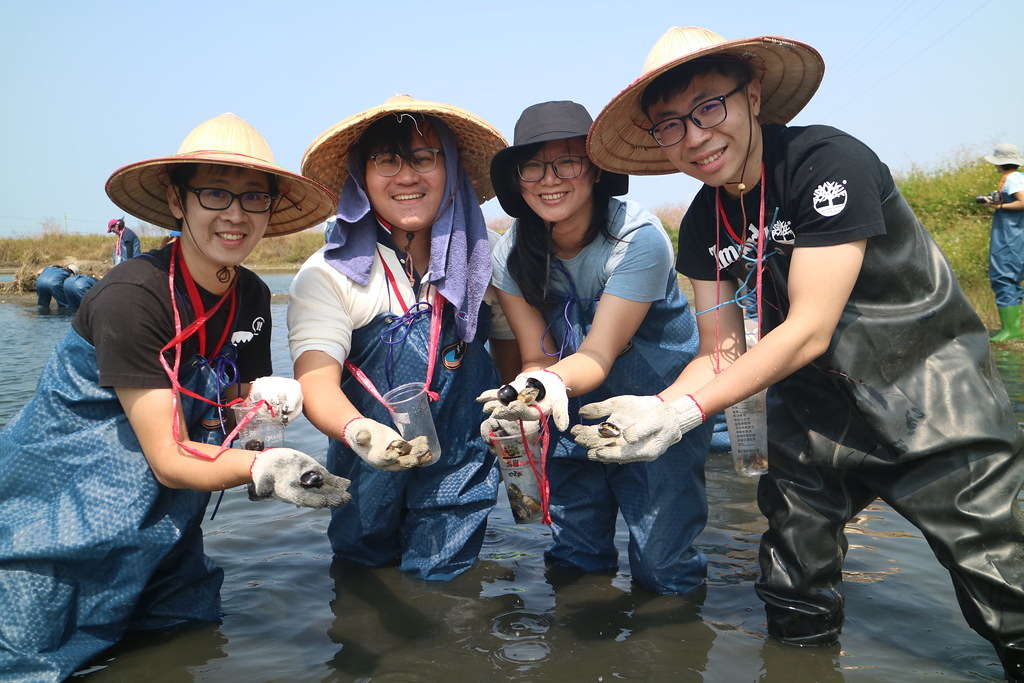 志工們統一將摸到的文蛤放入胸前杯子中帶回。攝影:林芊妤。