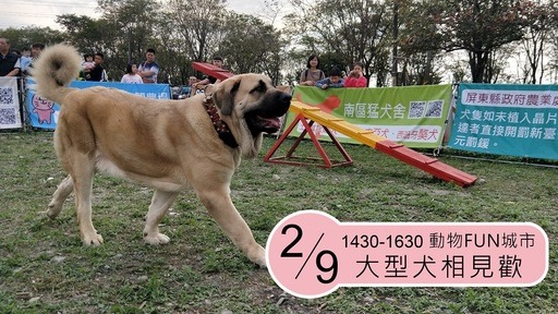 屏東縣政府/提供