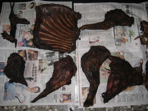 違法獵捕山羌遭查獲。林務局/提供