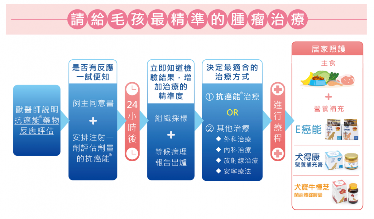 「腫瘤藥物反應評估＋抗癌能®」腫瘤治療方案流程圖。臺灣動藥/提供
